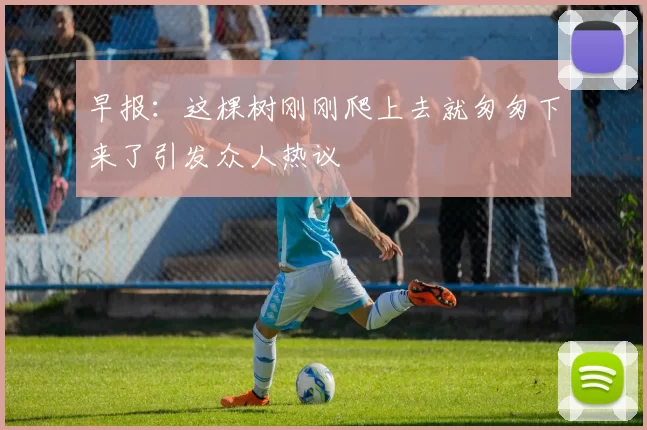 早报：这棵树刚刚爬上去就匆匆下来了引发众人热议